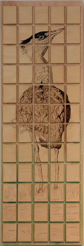 Indian Bustard — artwork by Stacie Birky Greene