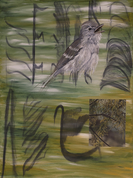 Least Bell’s Vireo — artwork by Stacie Birky Greene