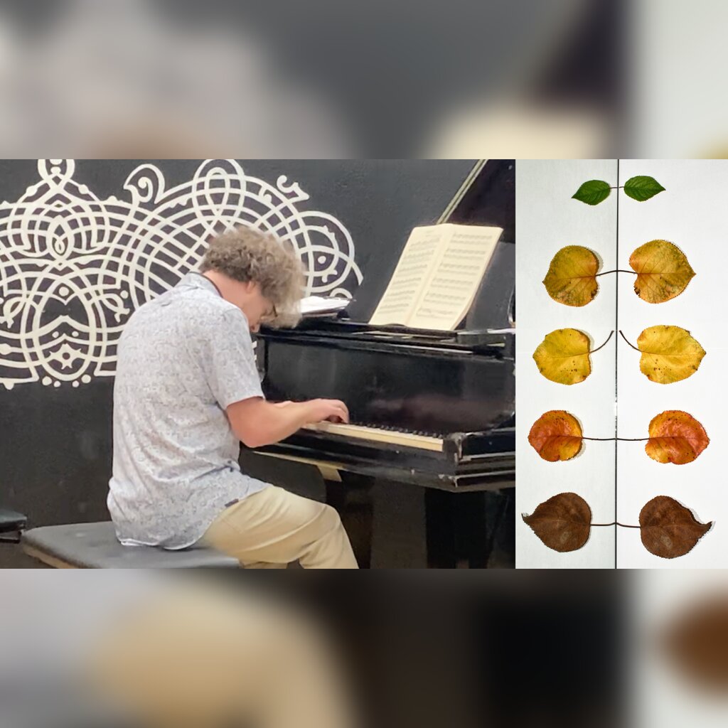 Seasons Improvisation 🎵🎬